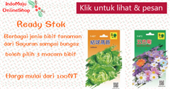 bibit bunga dan sayur (3 mac